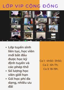 Khai giảng lớp tập yoga online cho người mới bắt đầu